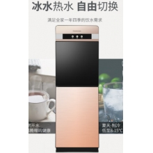長虹飲水機(jī)立式雙開門推杯升級(jí)飲水機(jī)溫?zé)峥頒YS-E09
